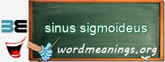 WordMeaning blackboard for sinus sigmoideus